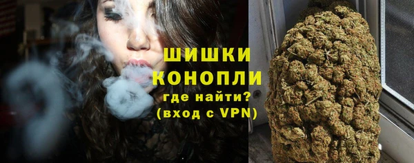 мяу мяу мука Иннополис